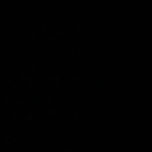 Meet your Posher, Bradley